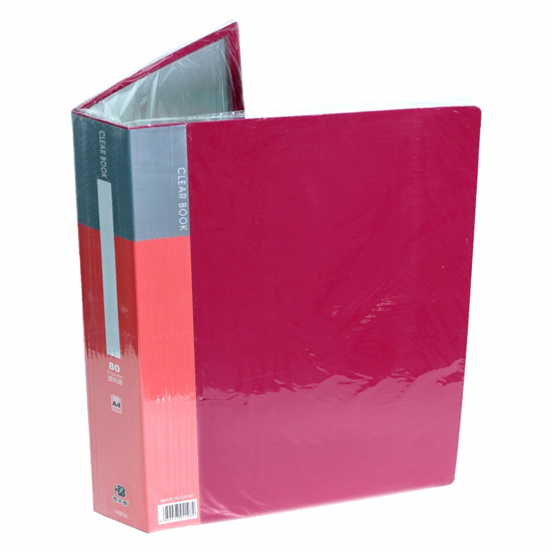 Թղթապանակ Ֆայլերով 80ֆայլ H80A 2